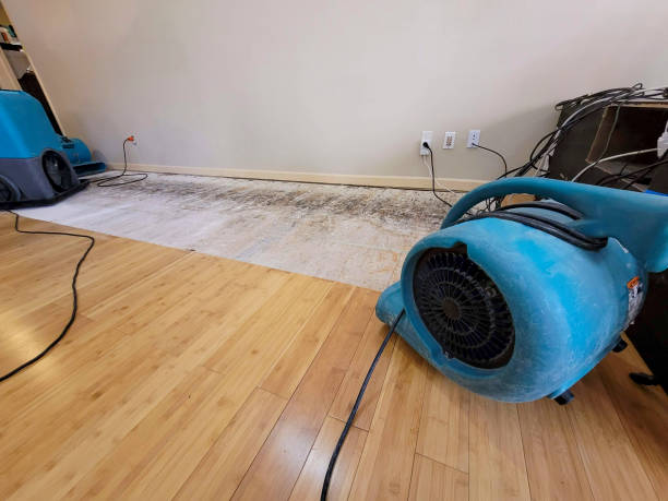 Professional Flood Damage Cleanup technician working in Newcastle, TX